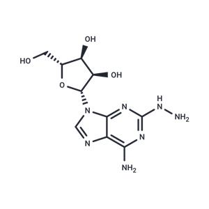 2-Hydrazinoadenosine