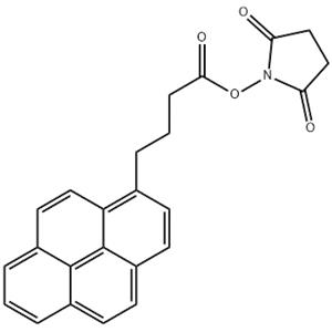 SucciniMidyl 1-Pyrenebutanoate