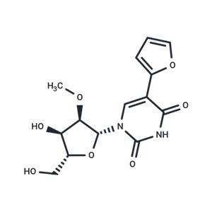 5-Furan-2-yl-2'-O-methyl uridine