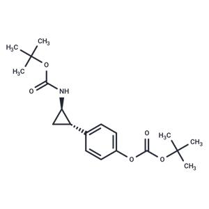 CBB3001