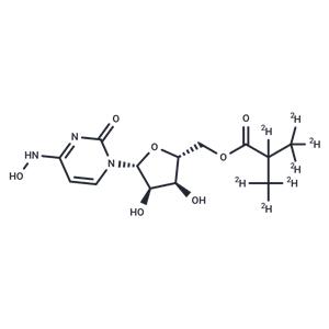 Molnupiravir-d7