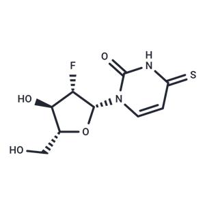 2’-Deoxy-2’-fluoro-4-thio-beta-D-arabinouridine