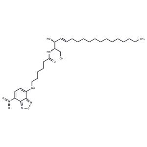 C6 NBD Ceramide