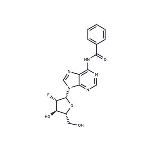 N6-Benzoyl-2’-fluoro-2’-deoxyarabinoadenosine