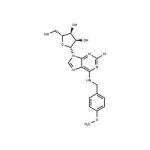 2’-Chloro-N6-(4-methoxy)benzyl ? adenosine