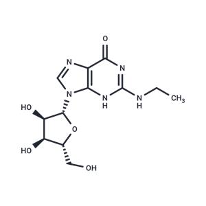 N2-Ethylguanosine