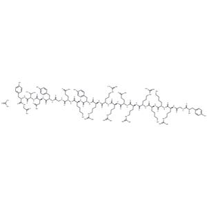 TAT-GluA2 3Y acetate(1404188-93-7 free base)