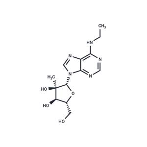 N6-Ethyl-2’-C-methyladenosine