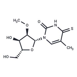 2’-O-Methyl-5-methyl-4-thiouridine