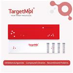 CD20 Protein, Human, Recombinant (Flag)