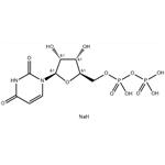 uridine 5'-diphosphate disodium salt