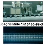 Cagrilintide 