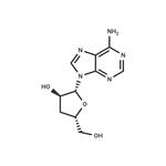 Cordycepin pictures