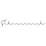 Bromoacetamido-PEG4-NHS ester