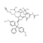 Ac-rC Phosphoramidite