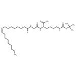 N'-Boc-N-(Gly-Oleoyl)-Lys