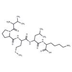 Bax inhibitor peptide V5