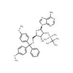 5’-O-(4,4’-Dimethoxytrityl)-2’-O-t-butyldimethylsilyl adenosine