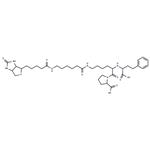 Lisinopril, epsilon-biotinamidocaproyl-