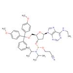 5’-O-DMTr-N6-ethyl-2’-deoxyadenosine 3’-CED phosphoramidite