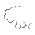 N-Arachidonoyl-L-Alanine