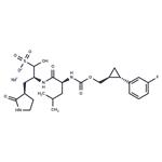 SARS-CoV-2 3CLpro-IN-10