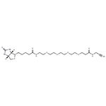 Biotin-PEG4-amide-Alkyne