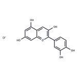 Cyanidin Chloride