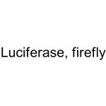 Luciferase, firefly