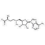 S-Adenosyl-L-methionine