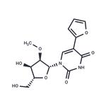 5-Furan-2-yl-2'-O-methyl uridine