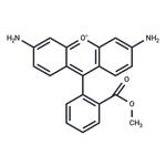 Rhodamine 123 free base