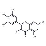 Myricetin pictures