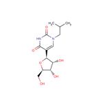 N1-(2-Methyl)propyl ? pseudouridine