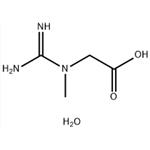 6020-87-7 Creatine monohydrate