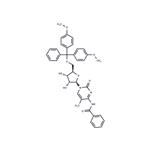 N4-Benzoyl-5'-O-DMT-5-methylcytidine