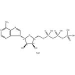 ATP disodium salt