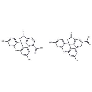 5(6)-Carboxyfluorescein