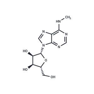 N6-methyladenosine