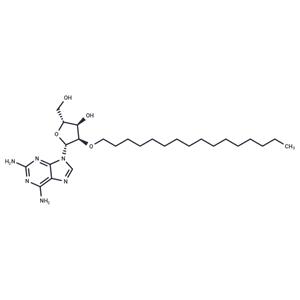 2’-O-Hexadecanyl-2-aminoadenosine