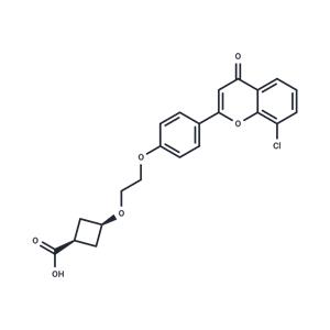 cis-ccc_R08