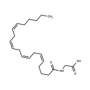 N-Arachidonylglycine