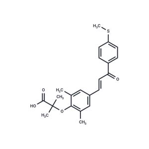 Elafibranor