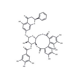 Pinocembrin 7-O-[3''-O-galloyl-4'',6''-hexahydroxydiphenoyl]-β-D-glucoside