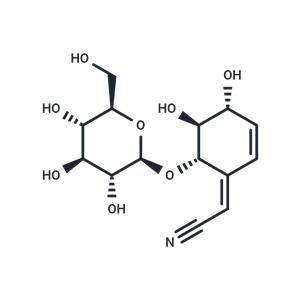 Lithospermoside