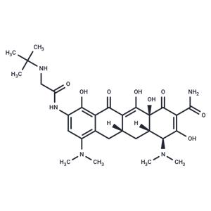 Tigecycline