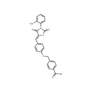 Slingshot inhibitor D3