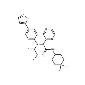 INSCoV-601I(1)