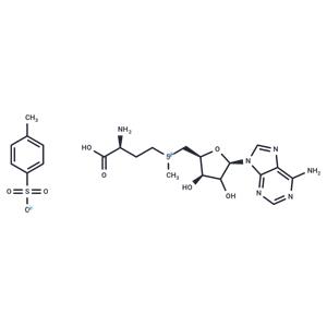 S-Adenosyl-L-methionine tosylate