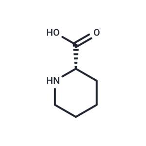 L-Pipecolic acid